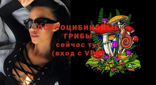 apvp Аркадак